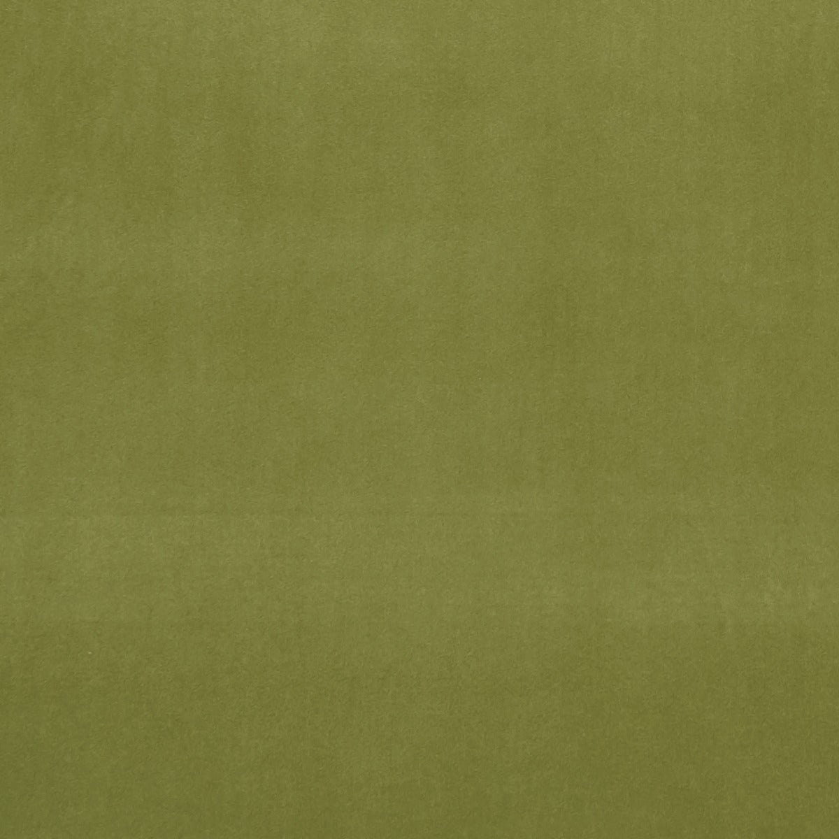 Clarke & Clarke Alvar Lime