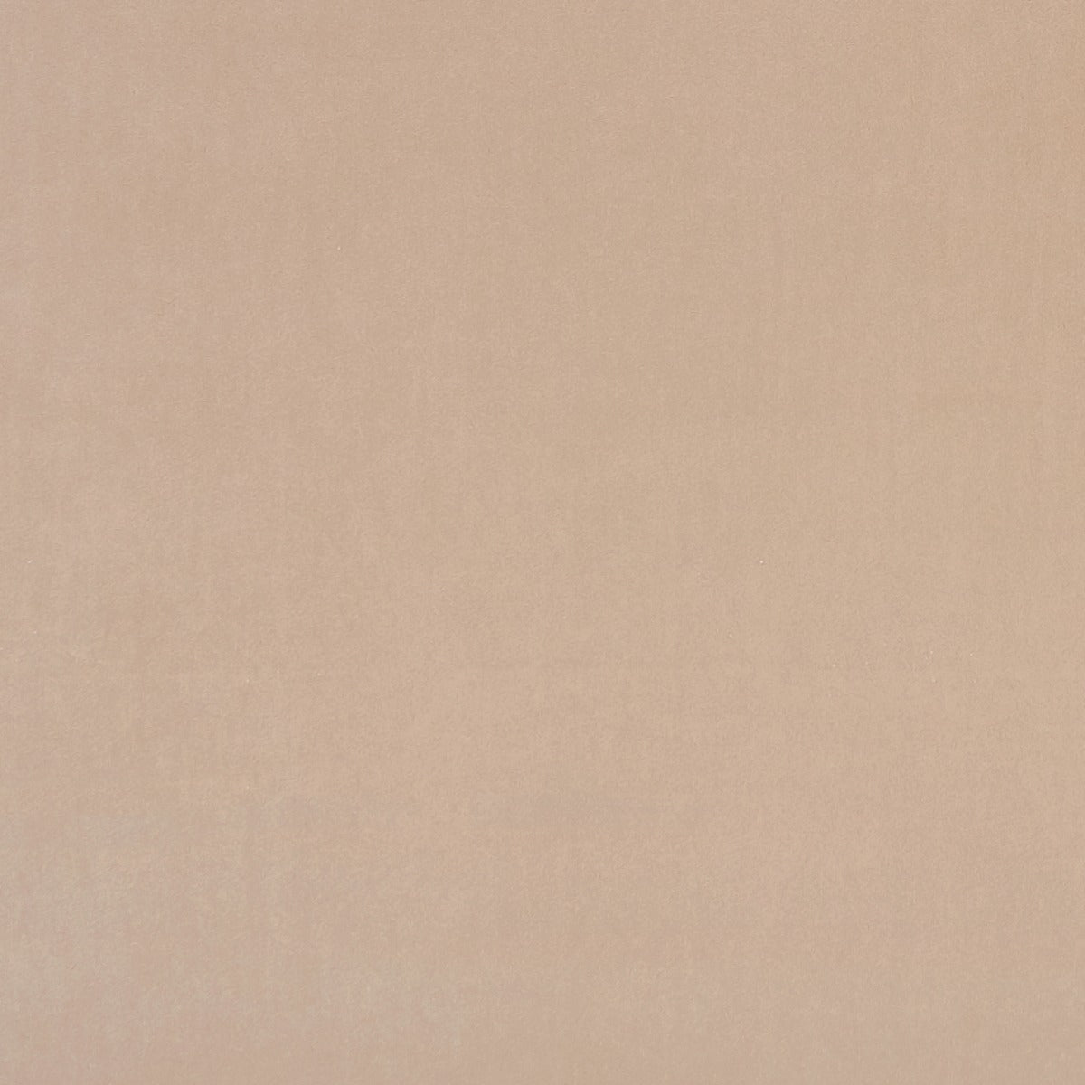 Clarke & Clarke Alvar Nude