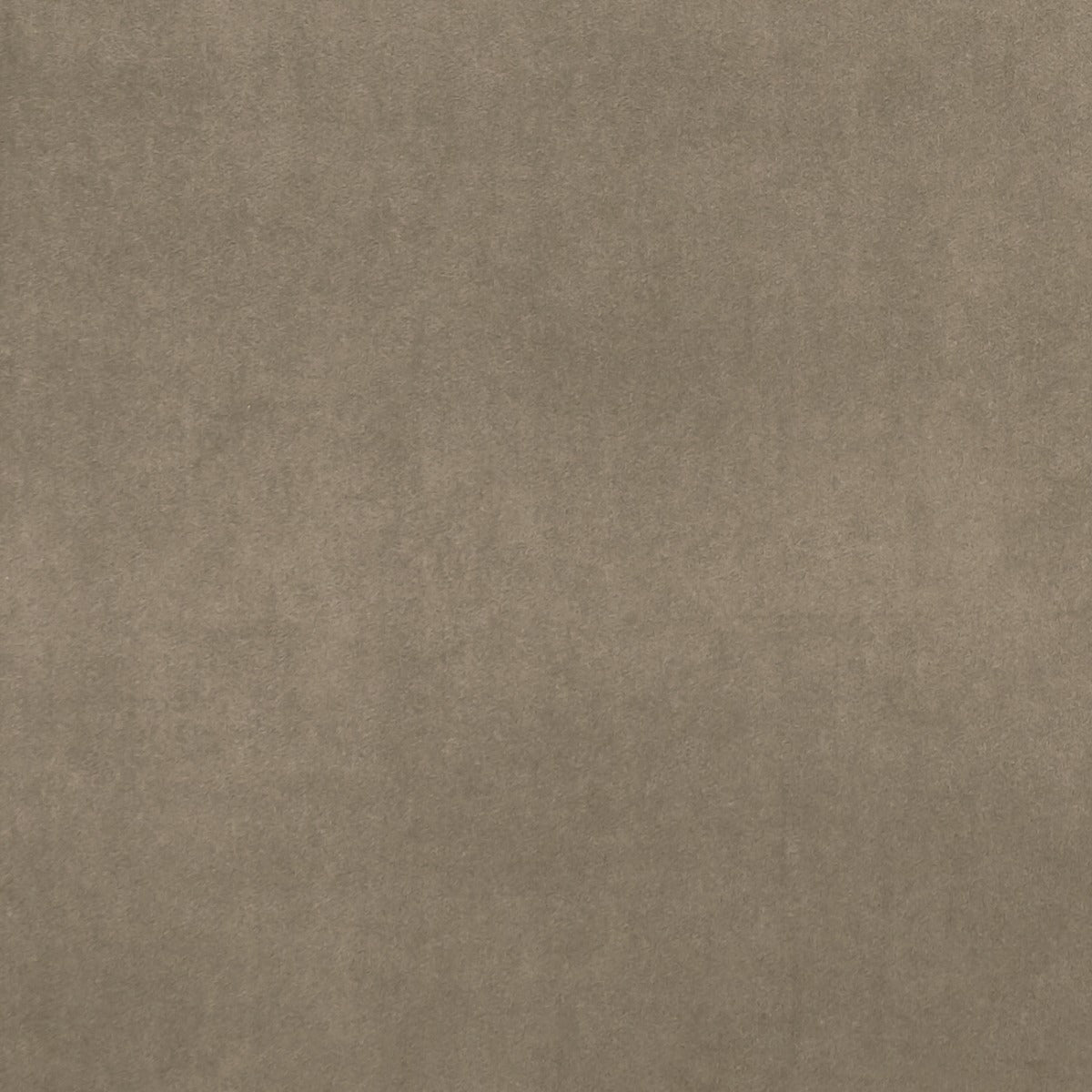 Clarke & Clarke Alvar Oak