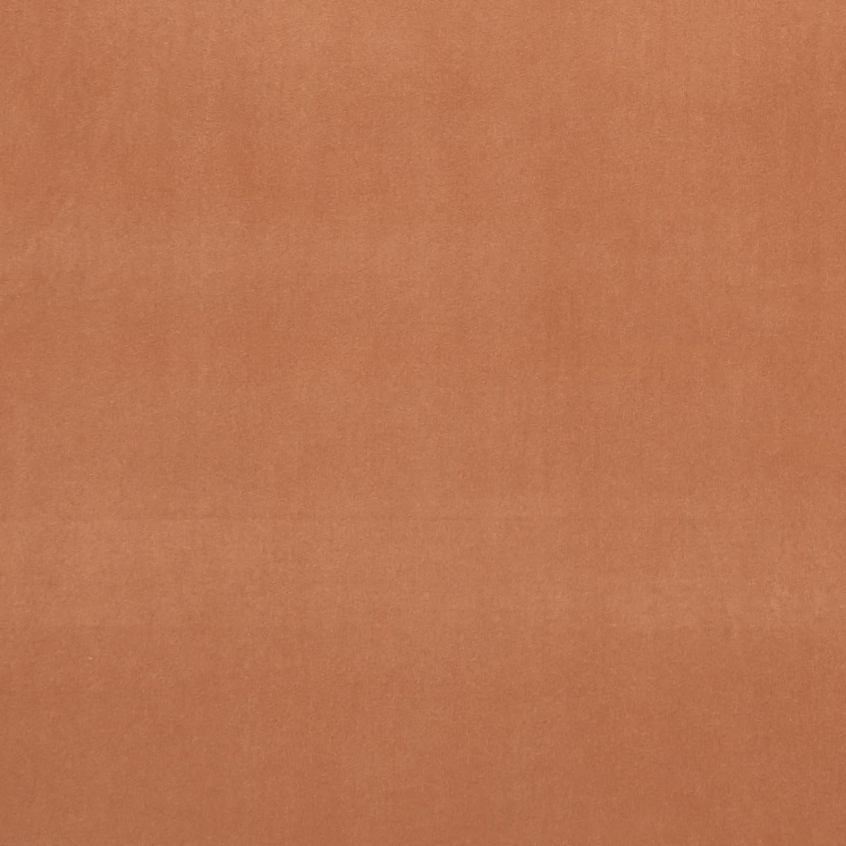 Clarke & Clarke Alvar Tamarind