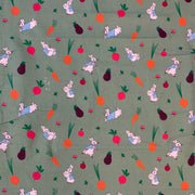 P123 Peter Rabbit 5 A Day