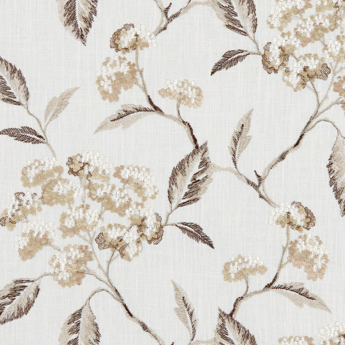 Clarke & Clarke Summerby Natural