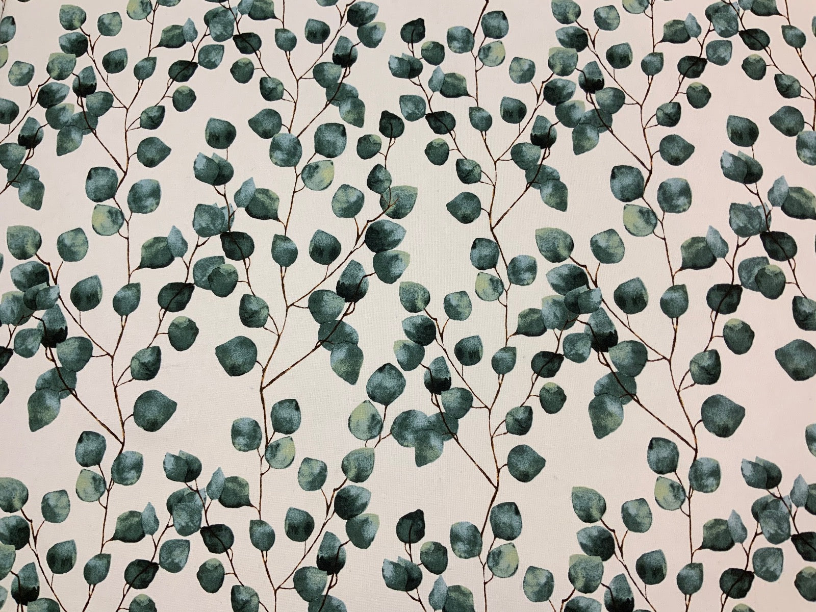 T383 Trailing Eucalyptus Ivory