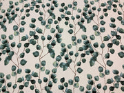 T383 Trailing Eucalyptus Ivory