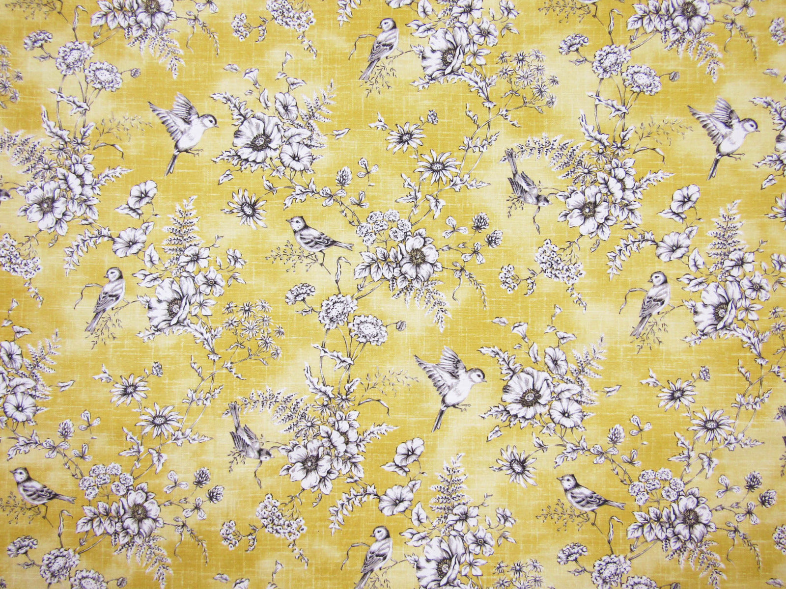 Finch Toile Buttercup