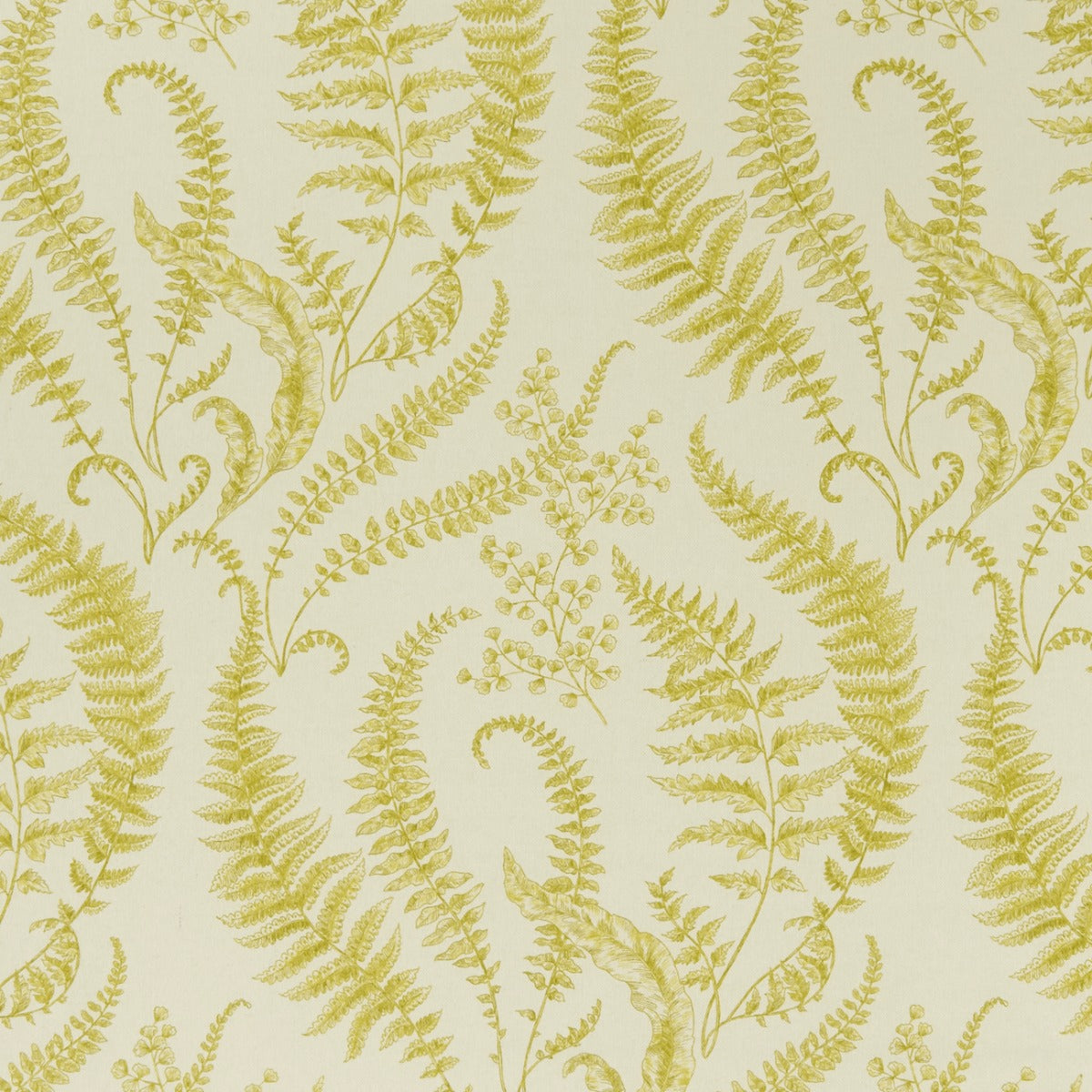 Clarke & Clarke Folium Chartreuse