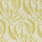 Clarke & Clarke Folium Chartreuse