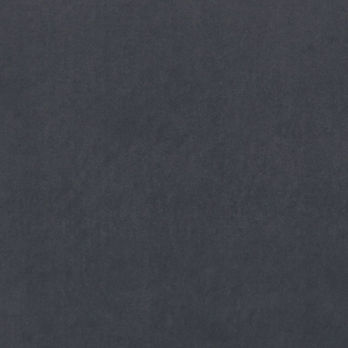 Clarke & Clarke Alvar Graphite