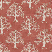 ILiv Great Oak Gingersnap