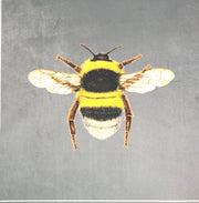 New Shimmer Velvet Bumblebee Cushion Panel Grey