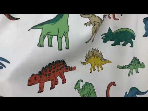 T548 Dinosaur Land Multi