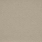 iLiv Alps Glacier Fabric Swatch