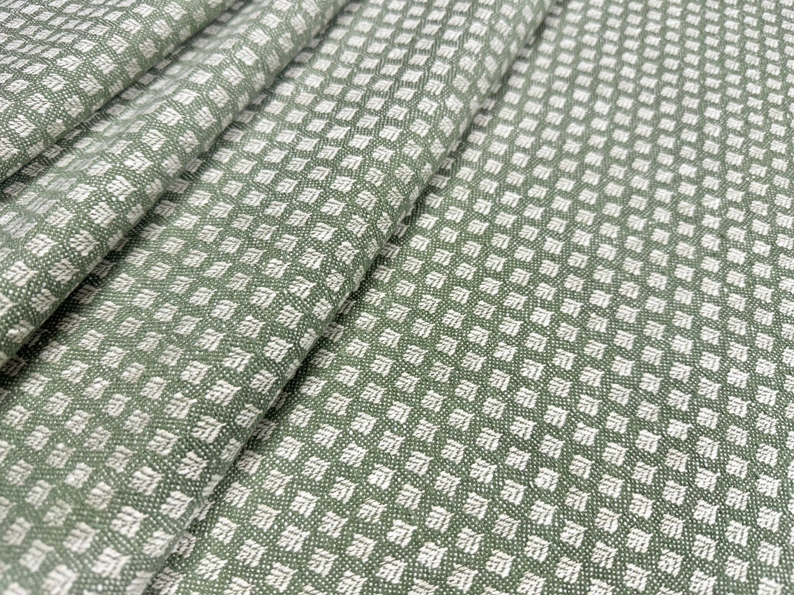 G58 Dunn Forest