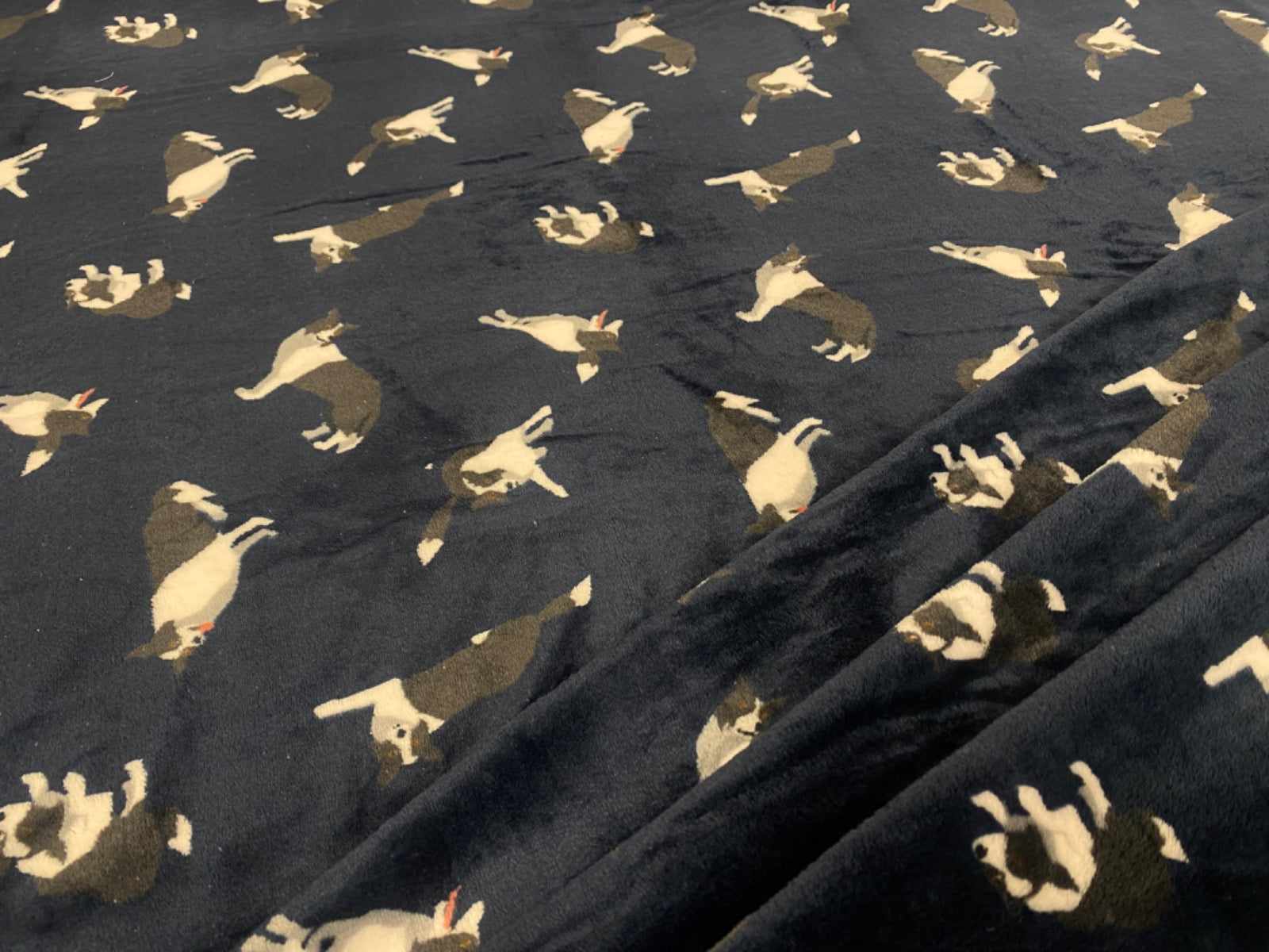 i309 Collie Dog Super Soft Cuddle Fleece