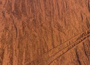 Tex Ex 2878 Polo Chocolate Orange