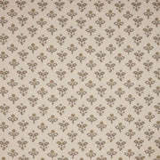ILiv Kochi Limestone