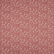 ILiv Shimla Carmine