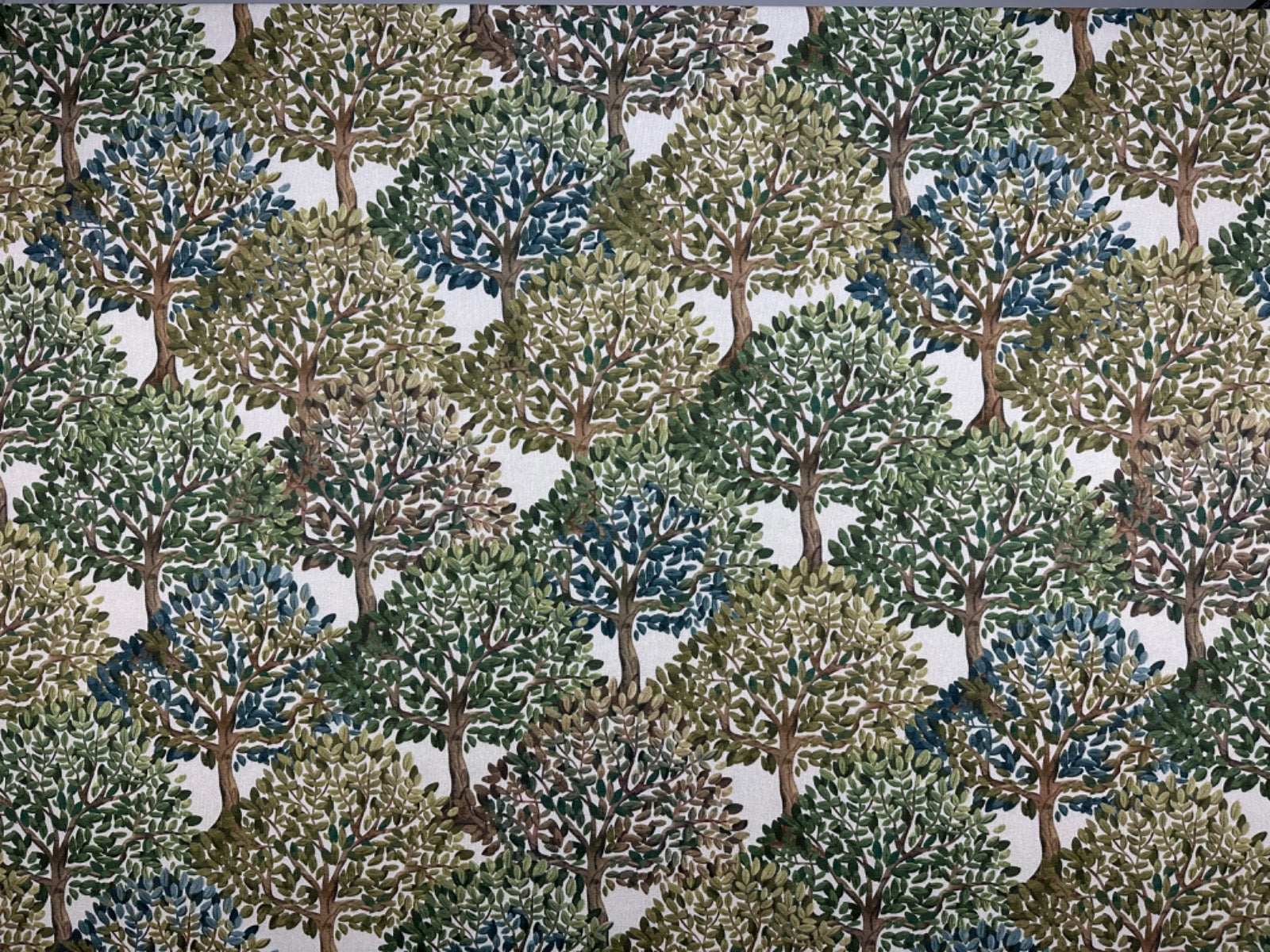 T547 Woodland Walk Green