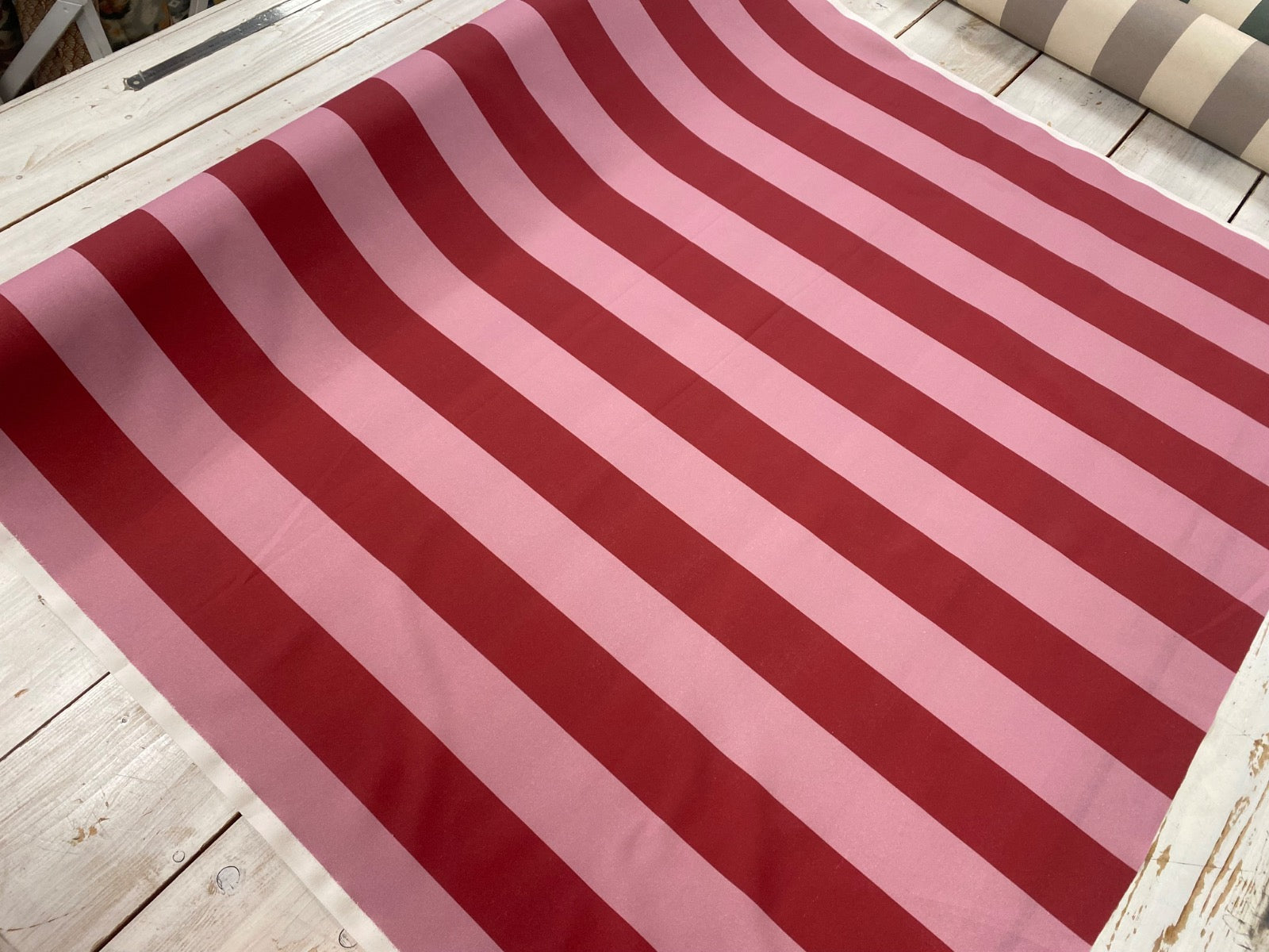 The Bold Stripe Berry S288