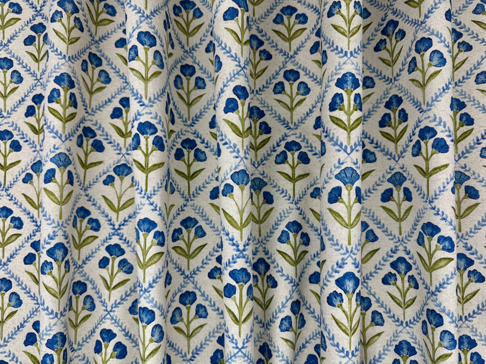 Prestigious Chatsworth Cornflower