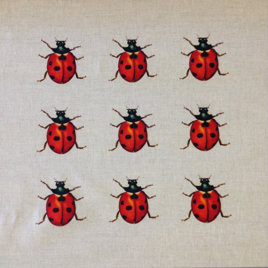 Ladybird Collector Cushion Panel