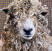 Longwool Ram Tweed Shimmer Velvet Cushion Panel