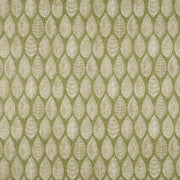 iLiv Malabar Pistachio
