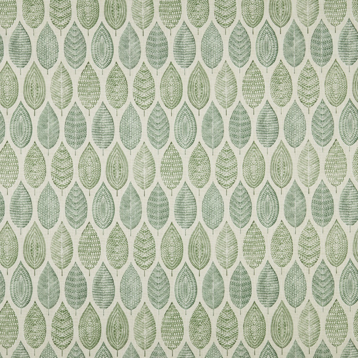 iLiv Malabar Sage