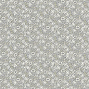 Clarke & Clarke Mallow Slate Dove