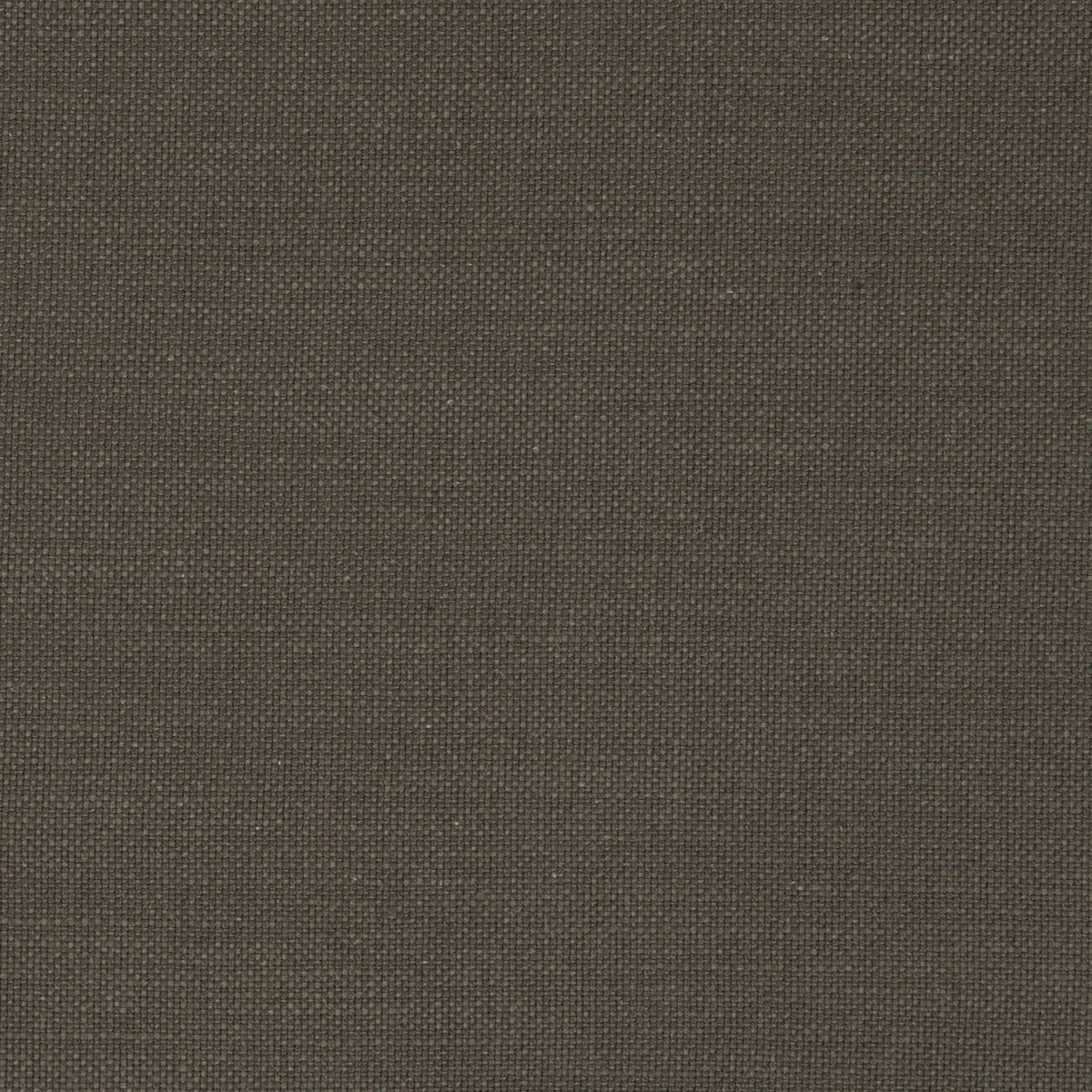 Clarke & Clarke Nantucket Gunmetal