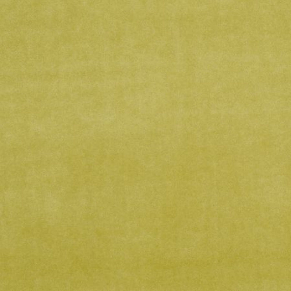 Clarke & Clarke Alvar Olive