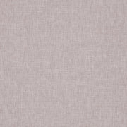 Prestigious Iceland Ash Rose