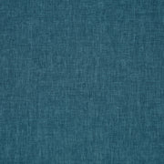 Prestigious Iceland Kingfisher