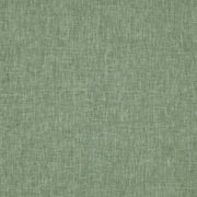 Prestigious Iceland Myrtle