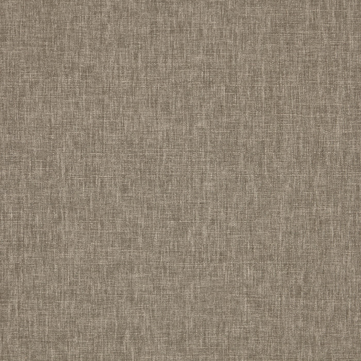 Prestigious Iceland Pale Mole