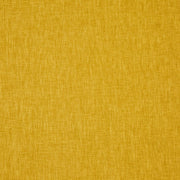 Prestigious Iceland Saffron