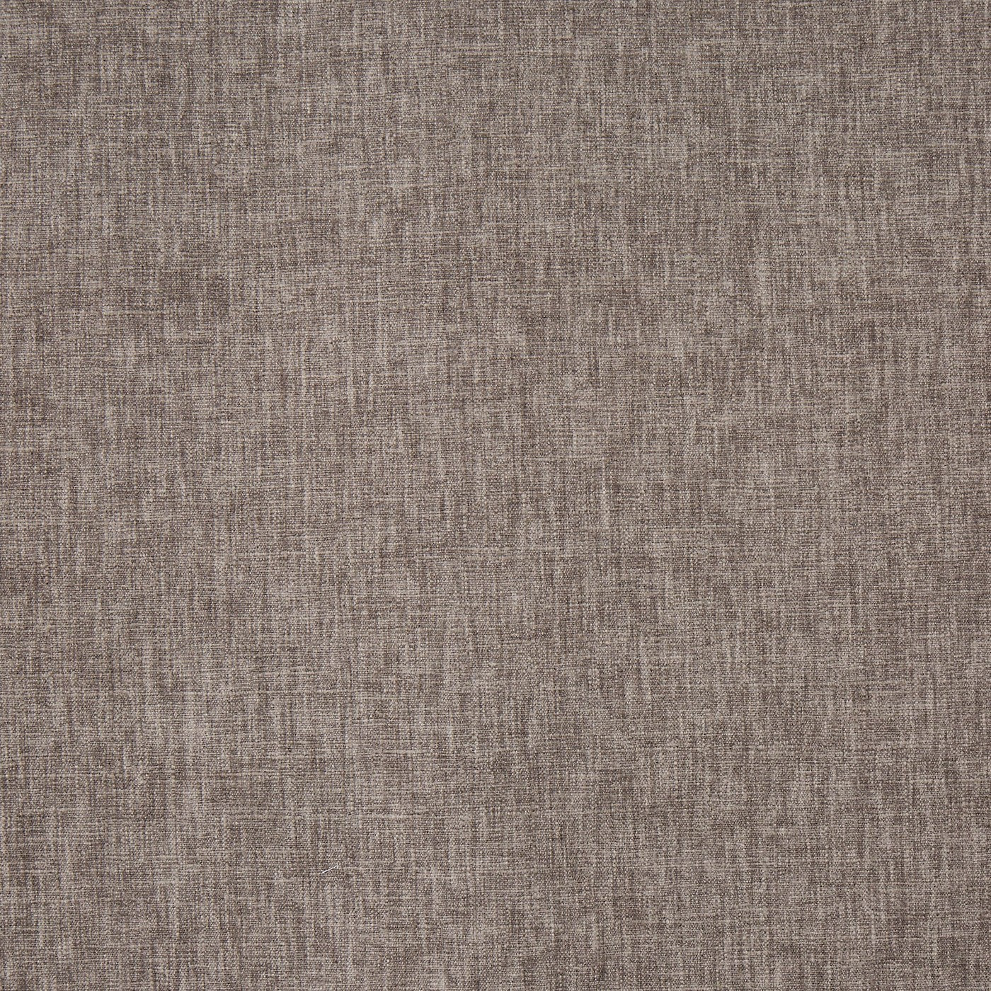 Prestigious Iceland Truffle