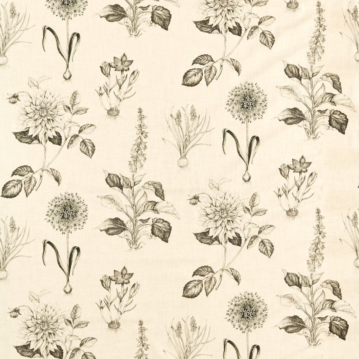Clarke & Clarke Roseraie Charcoal