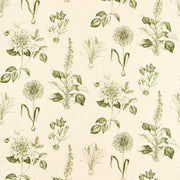 Clarke & Clarke Roseraie Sage