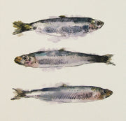 Organic Cotton Cushion Panel Sea Life Sardines fish