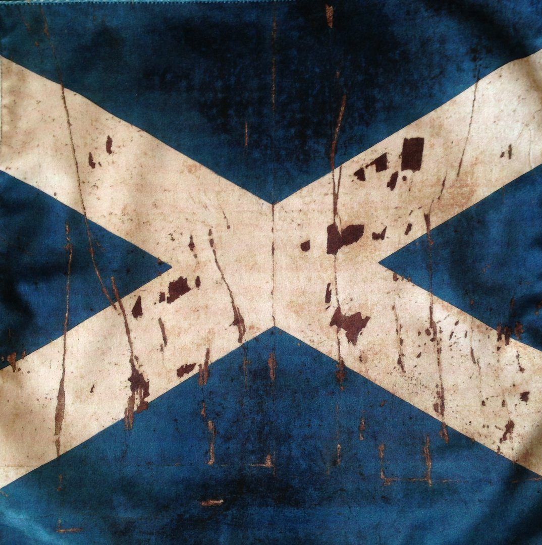 NEW Vintage Scottish Flag Shimmer Velvet Cushion Panel
