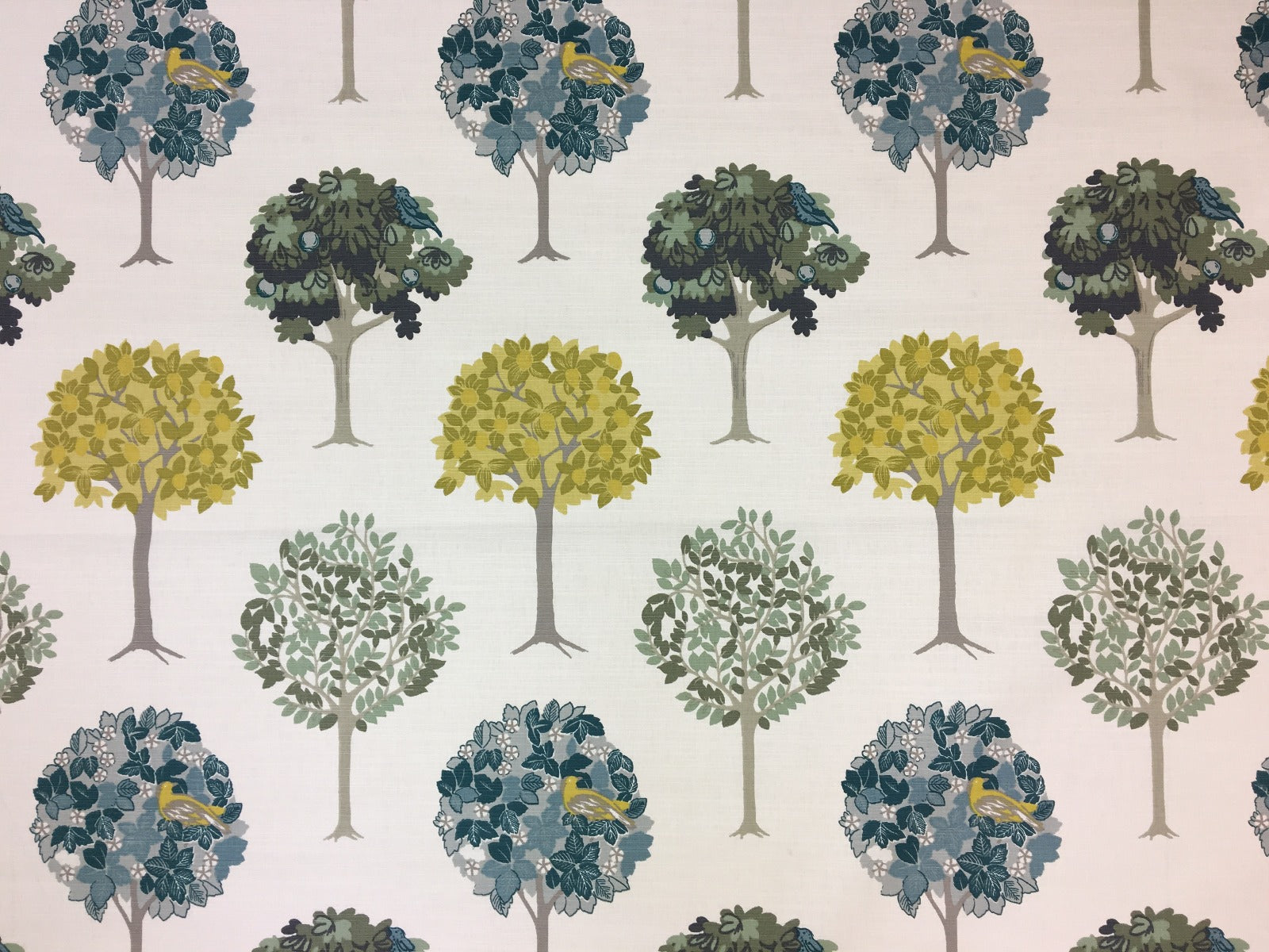 CGF Cremona Wedgewood