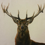 Organic Cotton Farmyard Faces Stag Natural Panel
