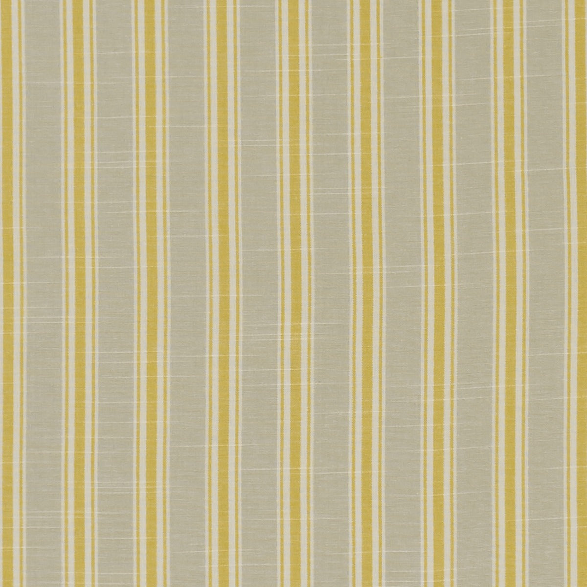 Clarke & Clarke Thornwick Citrus