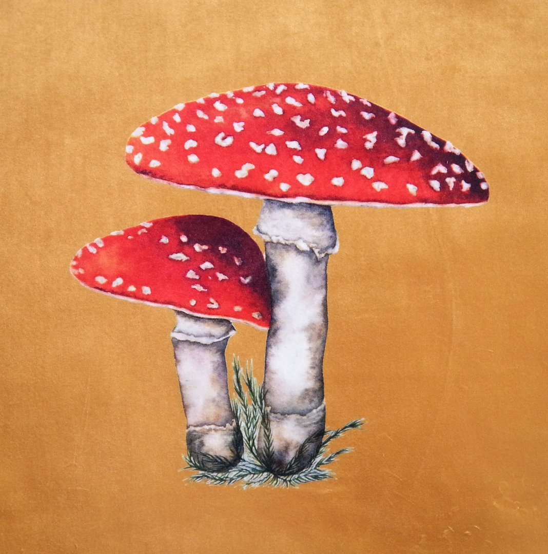 Flora and Fauna Toadstool Gold Shimmer Velvet Cushion Panel