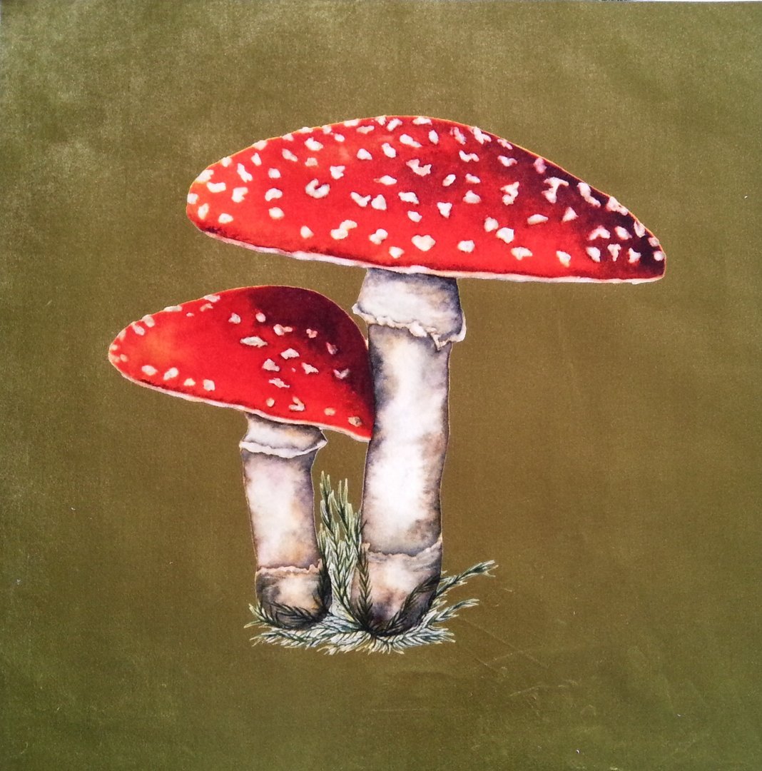 Flora and Fauna Toadstool Olive Shimmer Velvet Cushion Panel