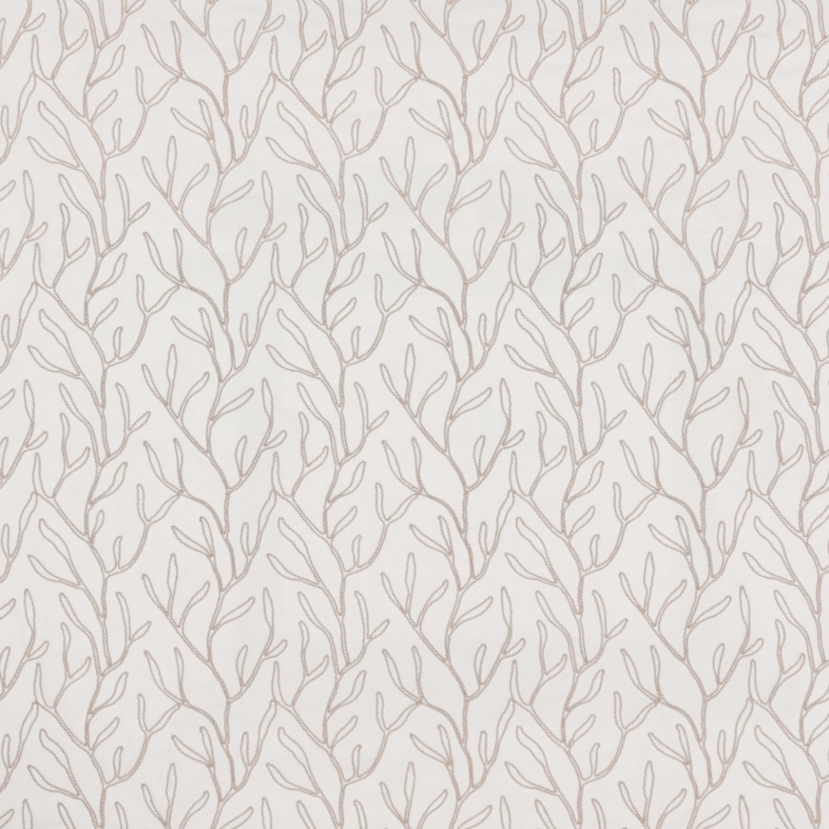 iLiv Twig Chalk