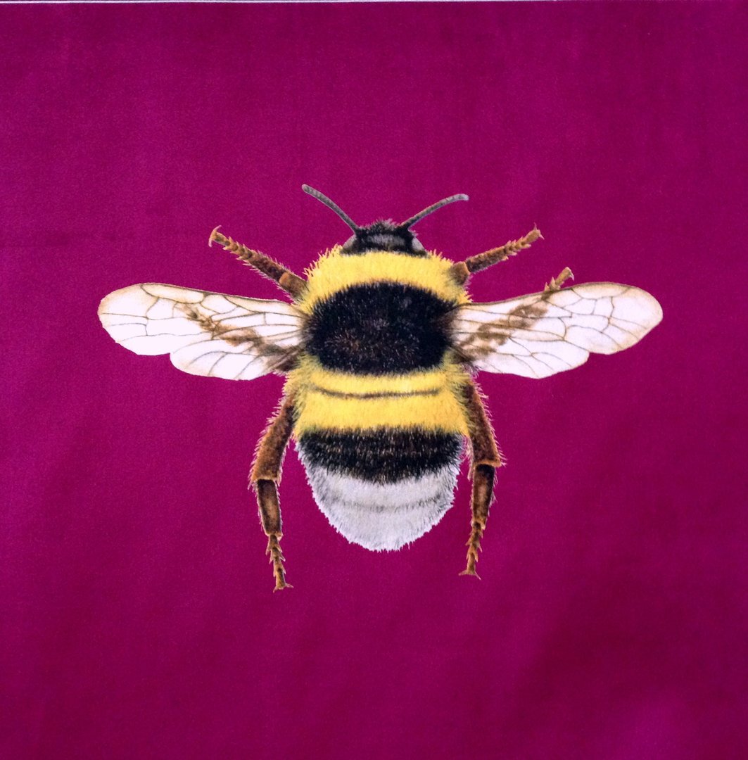 New Shimmer Velvet Bumblebee Cushion Panel Berry