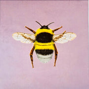 Shimmer Velvet Bumblebee Cushion Panel Blush