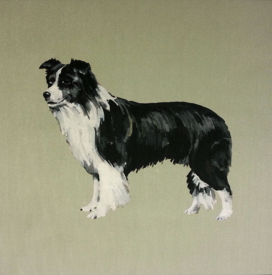 Collie Shimmer Velvet Mizzle Green Dog Cushion Panel